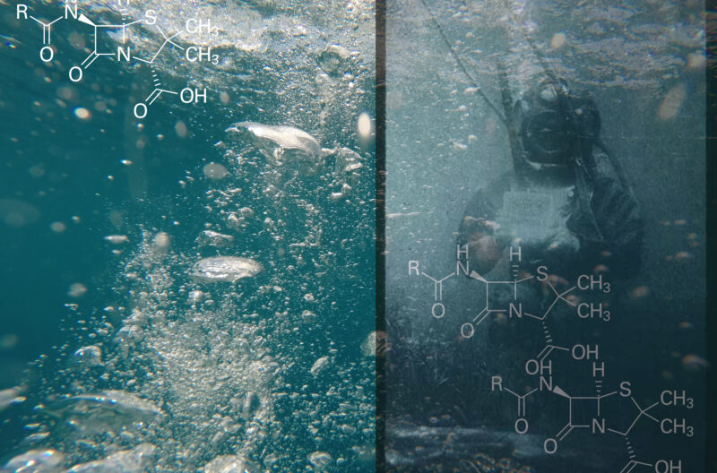 Robertina Sebjanic and Gjino Sutic, Aqua forensic. Photo courtesy of the artist.