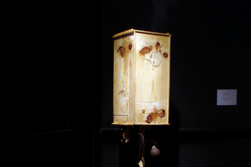 Bernie Lubell, A Prurient Interest, 1999. Installation view at FACT.