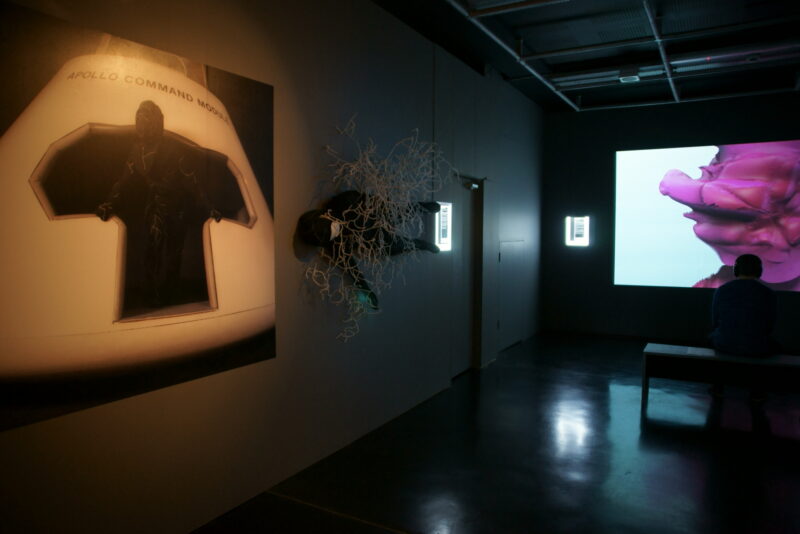 Jae Rhim Lee Infinity Burial Project 2009 Present
