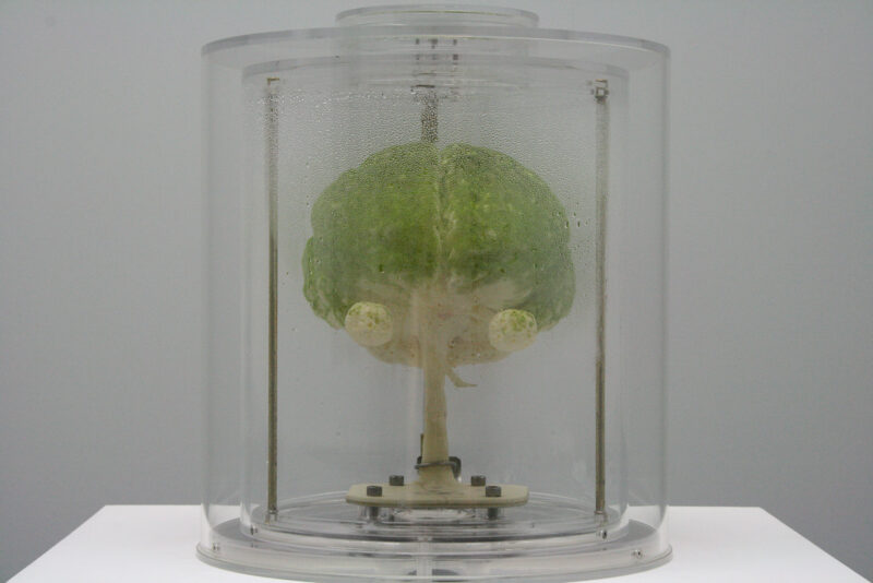Jun Takita, Light, Only Light. Installation view at FACT.