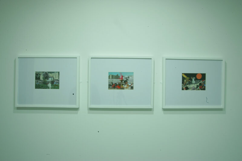 Judith Goddard, The Garden of Earthly Delights. 1991. Installation view at FACT.