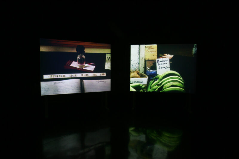 Anna Lucas, Atlantic Botanic, 2007. Installation view at FACT.