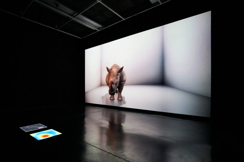 Alexandra Daisy Ginsberg The Substitute 2019 Image by Rob Battersby Installation view at FACT 4