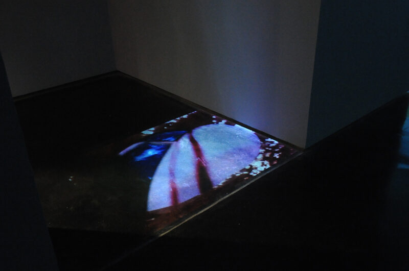 Pipilotti Rist, Blood Room, 1993/1998. Installation view at FACT.