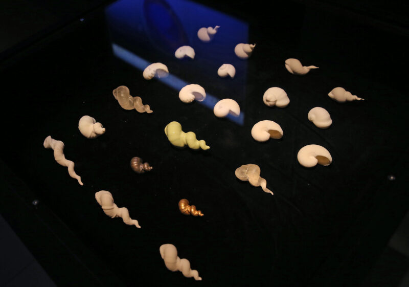 Proboscis, Lifestreams, 2012. Photo by Gareth Jones.