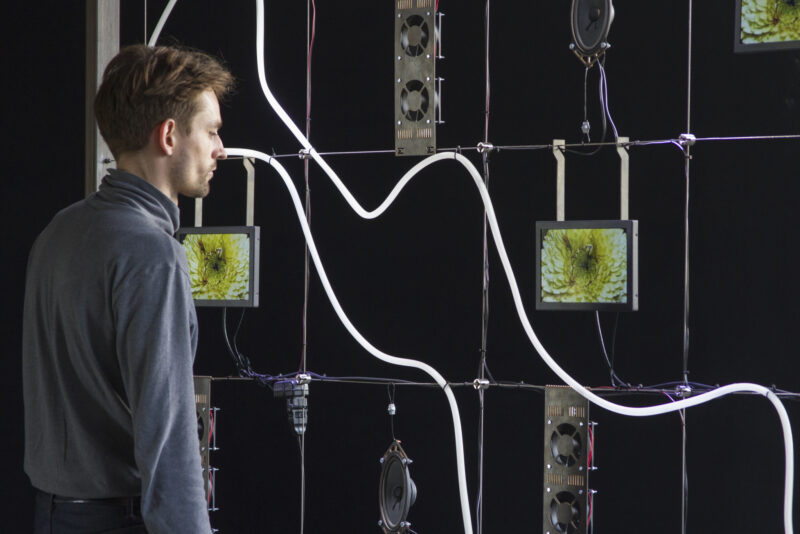 Floral Automation 2