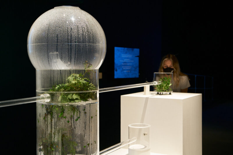 Kuai Shen Ohm1gas 2012 Image by Rob Battersby Installation view at FACT 2 jpg