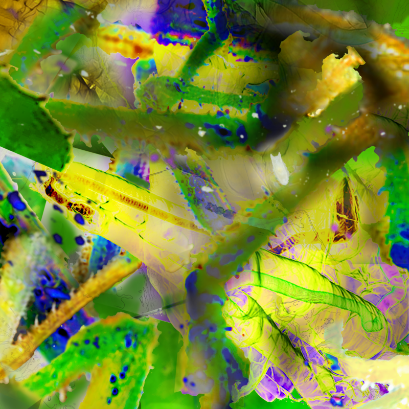 MichaelBrailey