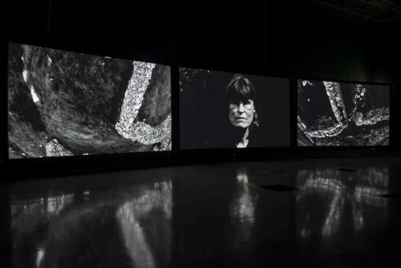 Shona Illingworth: Lesions in the Landscape, FACT, 2015. Photo by Jon Barraclough