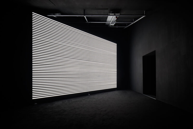 Marianna Simnett, Faint with Light, 2016. Installation view at FACT 2019. Photo: Rob Battersby.