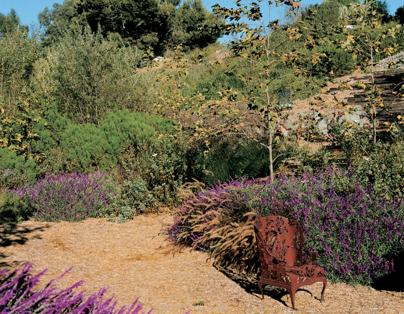 Mark Lewis, Jay's Garden, Malibu, 2001. Film still courtesy of the artist.