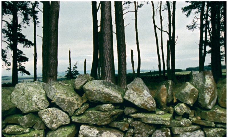 Mark Lewis, Northumberland, 2005. Film still courtesy of the artist.