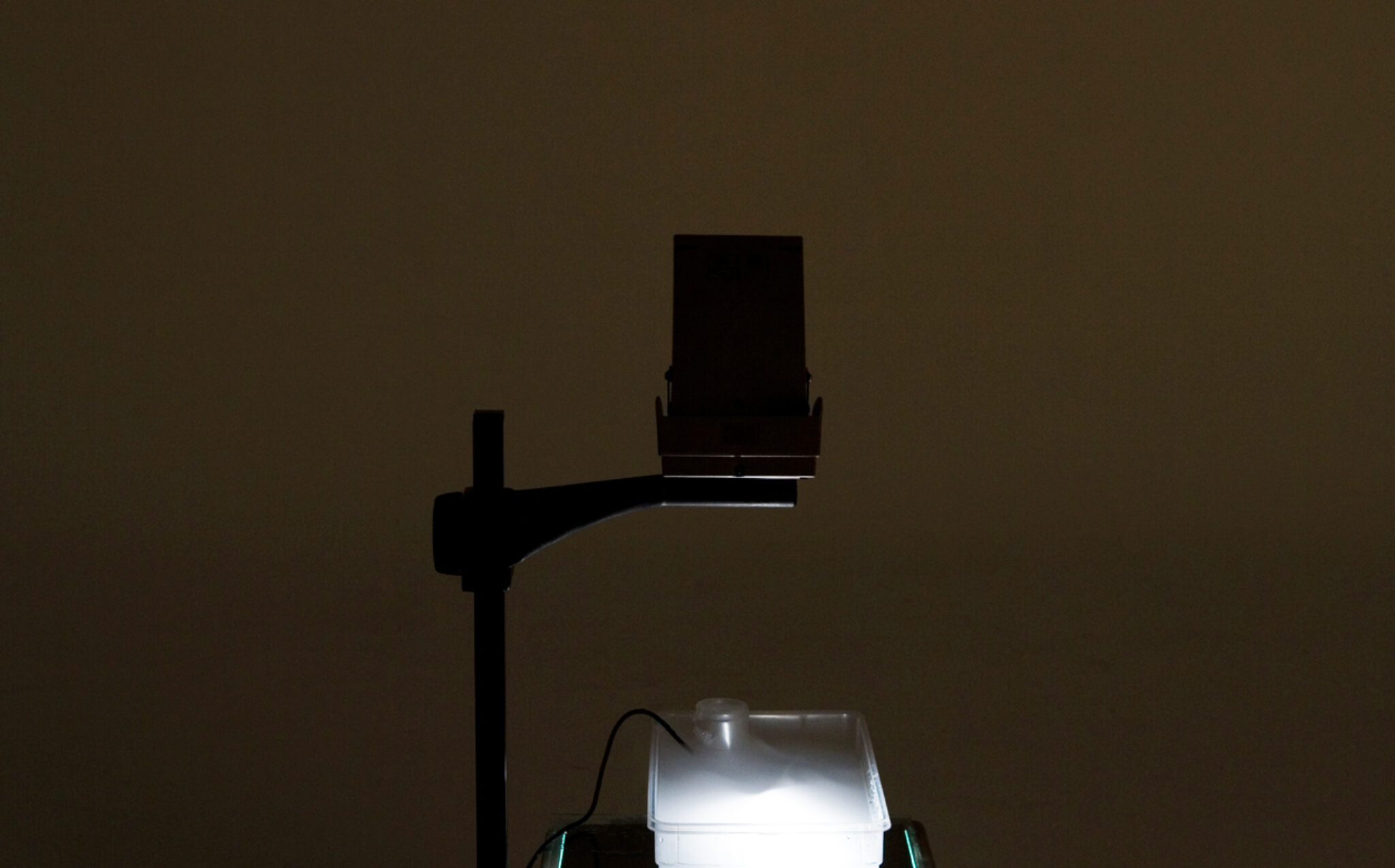 Sharon Houkema, M3, 2008. Photo by Brain Slater.