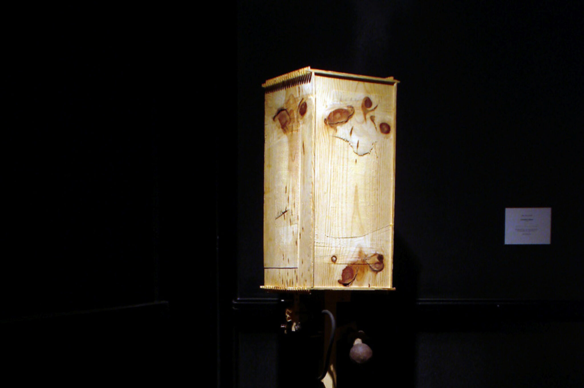 Bernie Lubell, A Prurient Interest, 1999. Installation view at FACT.