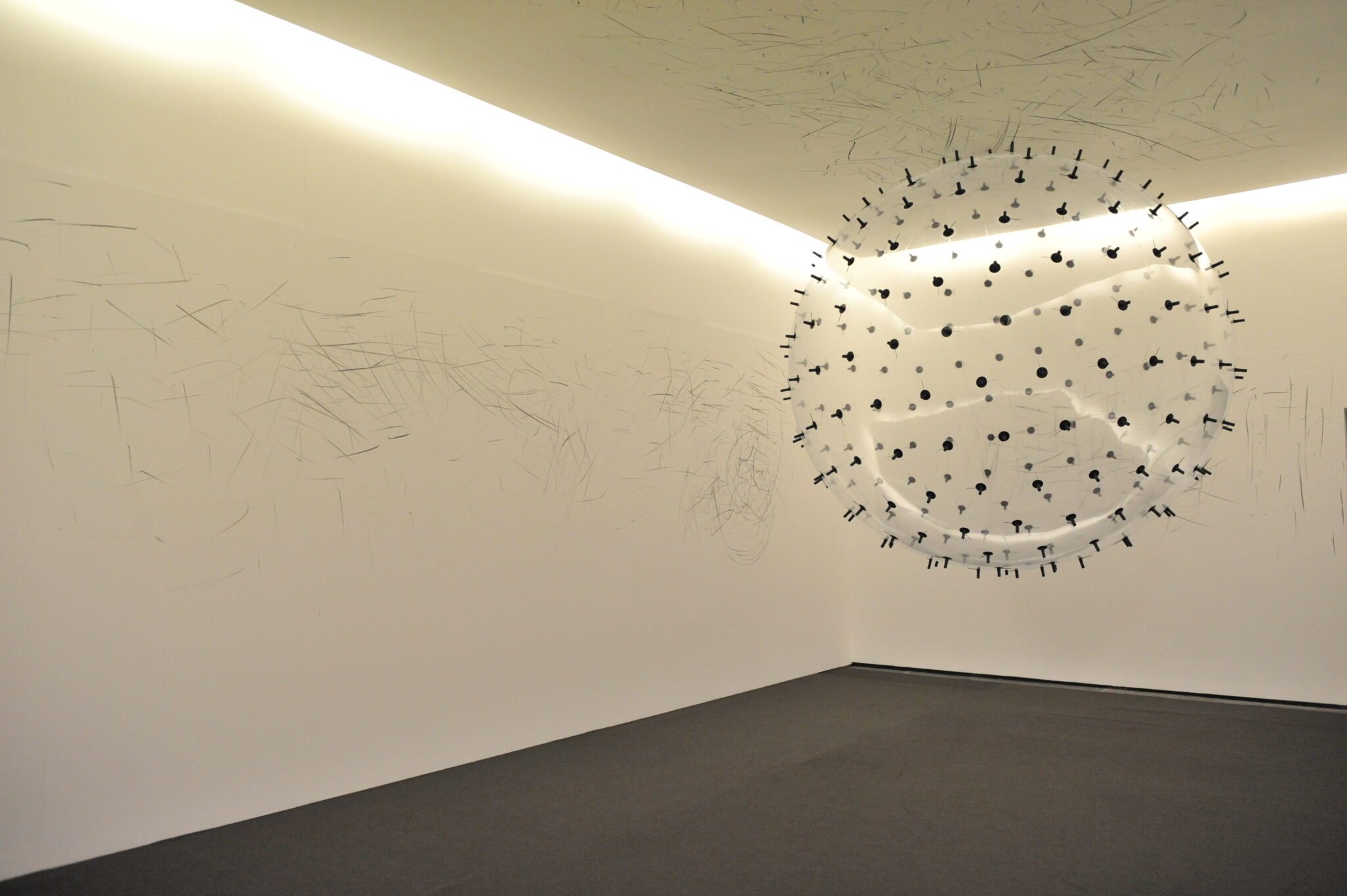 Karina Smigla-Bobinski, ADA, 2010. Photo by Brian Slater.