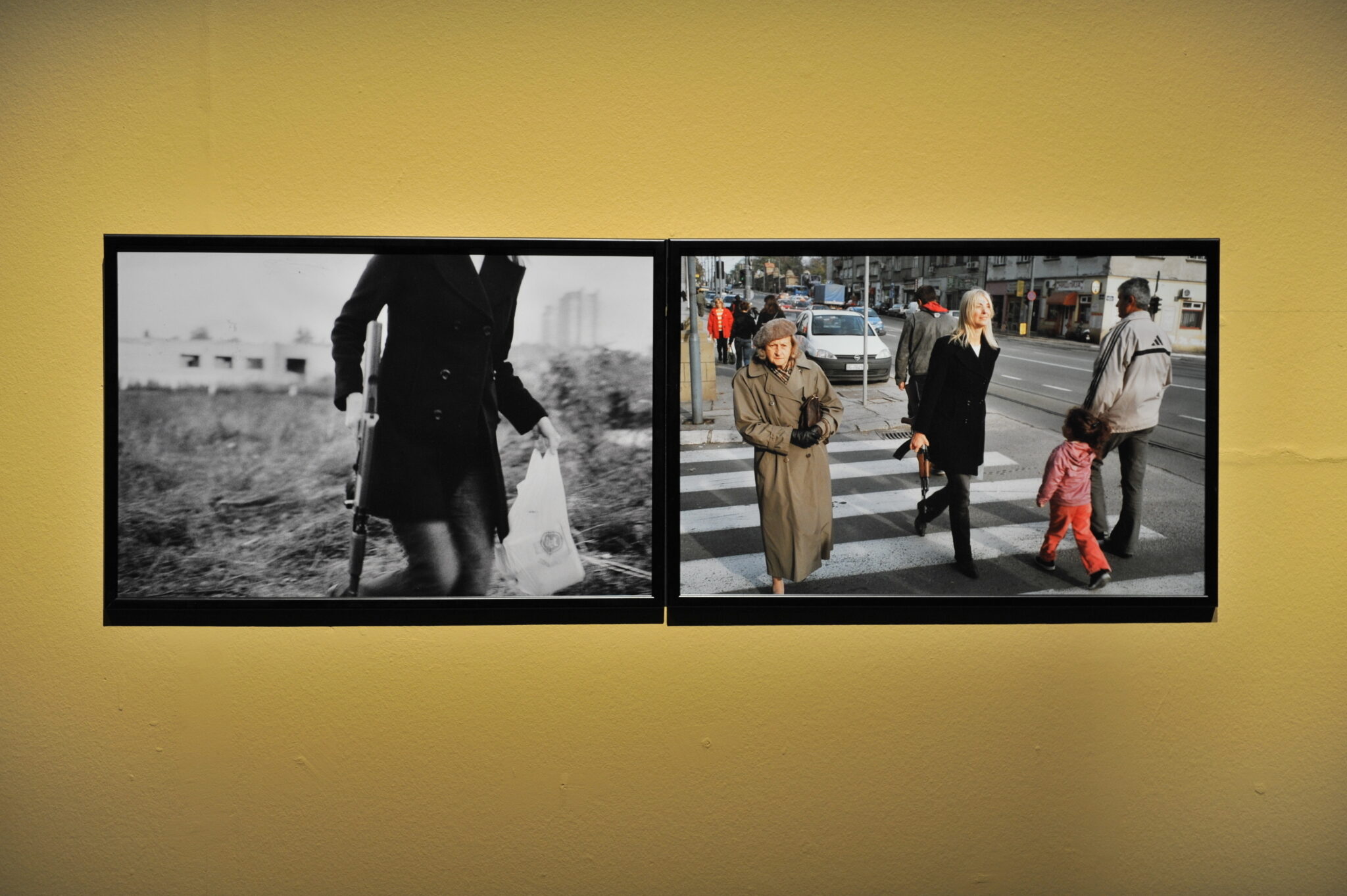 Milica Tomic, One day, instead of one night, a burst of machine-gun fire will flash, if light cannot come otherwise, 2009. Photo by Stephen King.