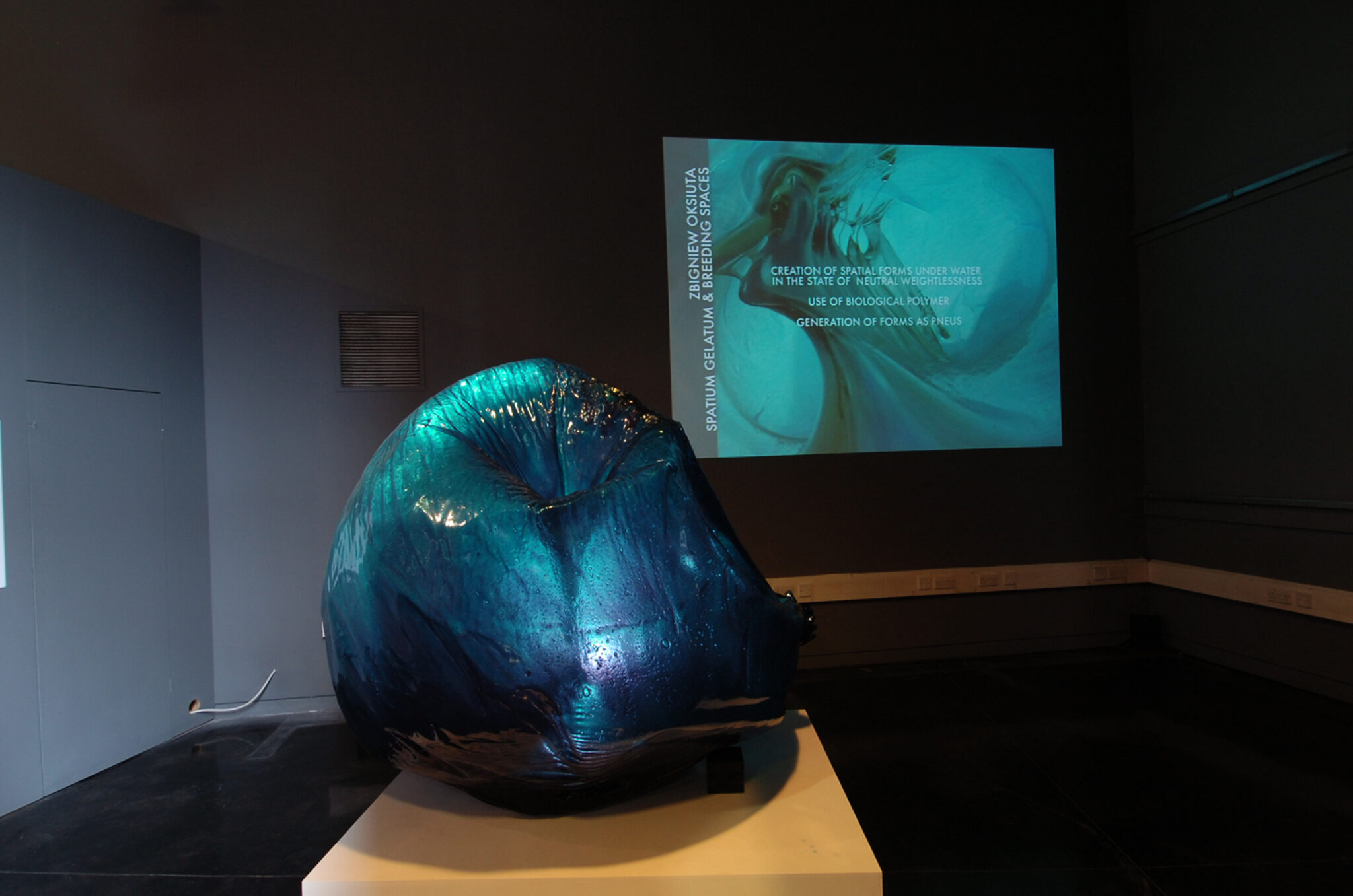 Zbigniew Oksiuta, Biological Habitat, Form 0108. Installation view at FACT. Photo By Stephen King.