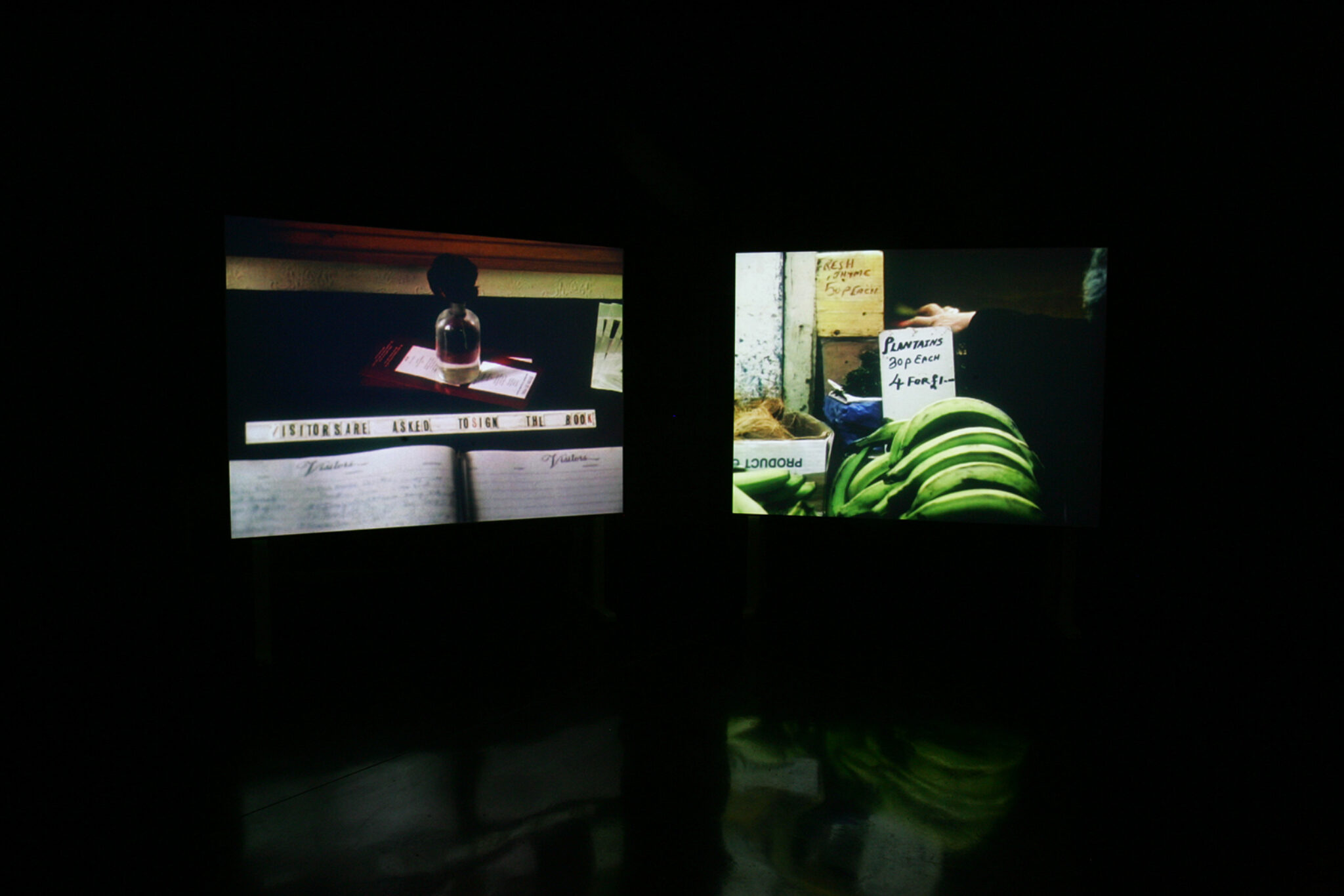 Anna Lucas, Atlantic Botanic, 2007. Installation view at FACT.