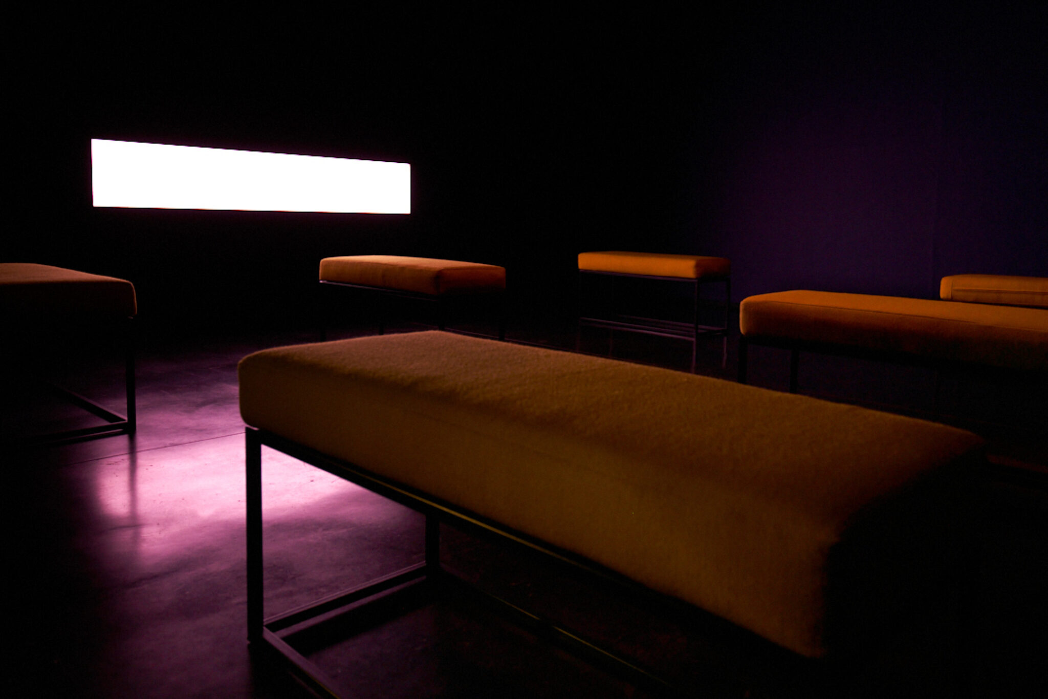 Alexandra Daisy Ginsberg Machine Auguries 2019 Image by Rob Battersby Installation view at FACT