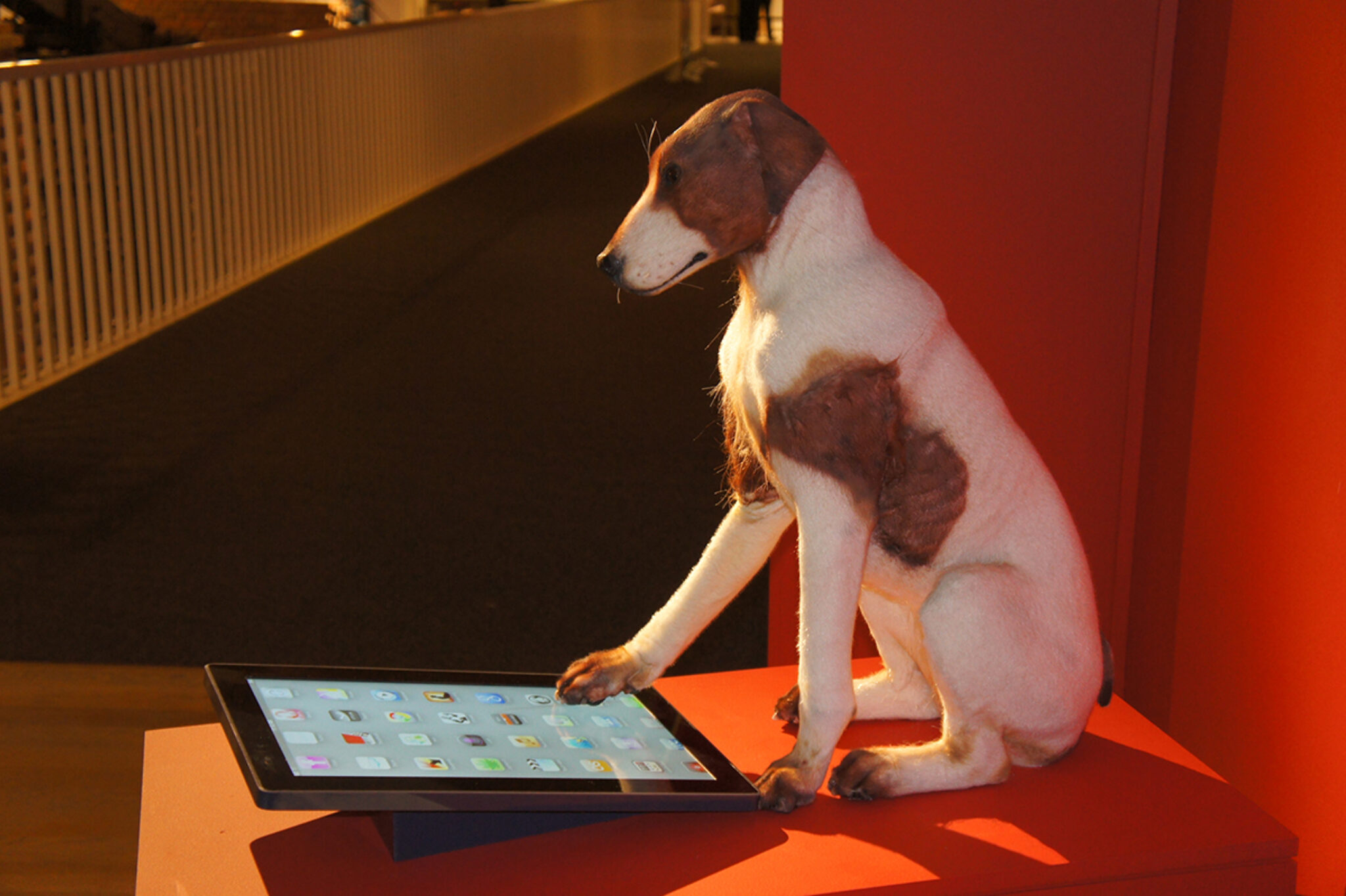 Electroboutique, iPaw, 2012.