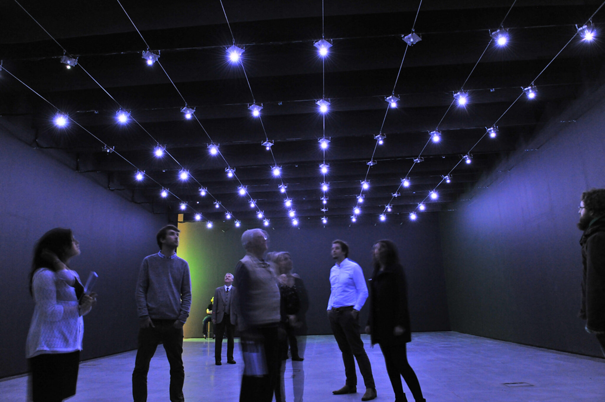 Edwin Van Der Heide, Evolving Spark Network, 2010 - 2011.