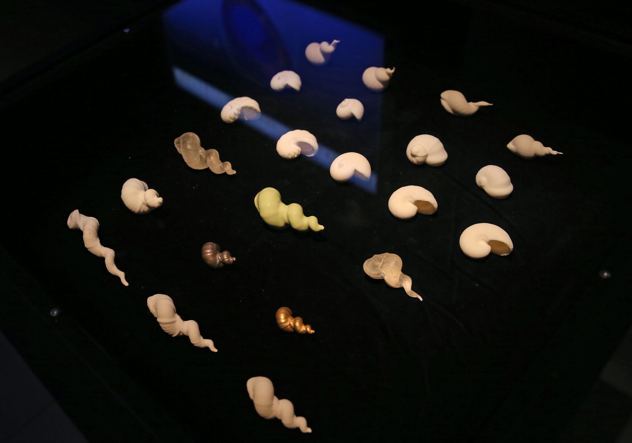 Proboscis, Lifestreams, 2012. Photo by Gareth Jones.