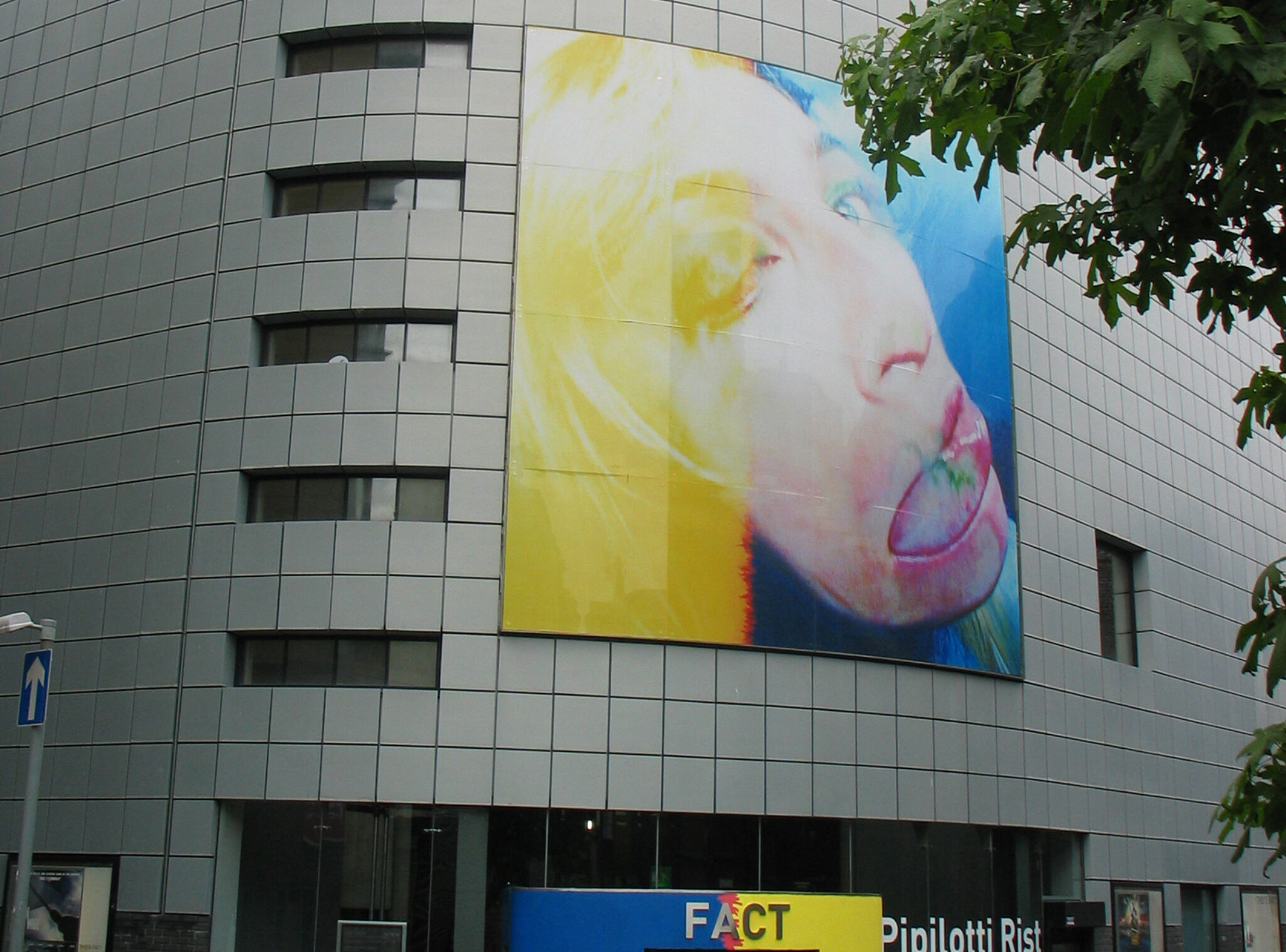 Pipilotti Rist, Open My Glade (Flatten), 2000. Installation view at FACT.