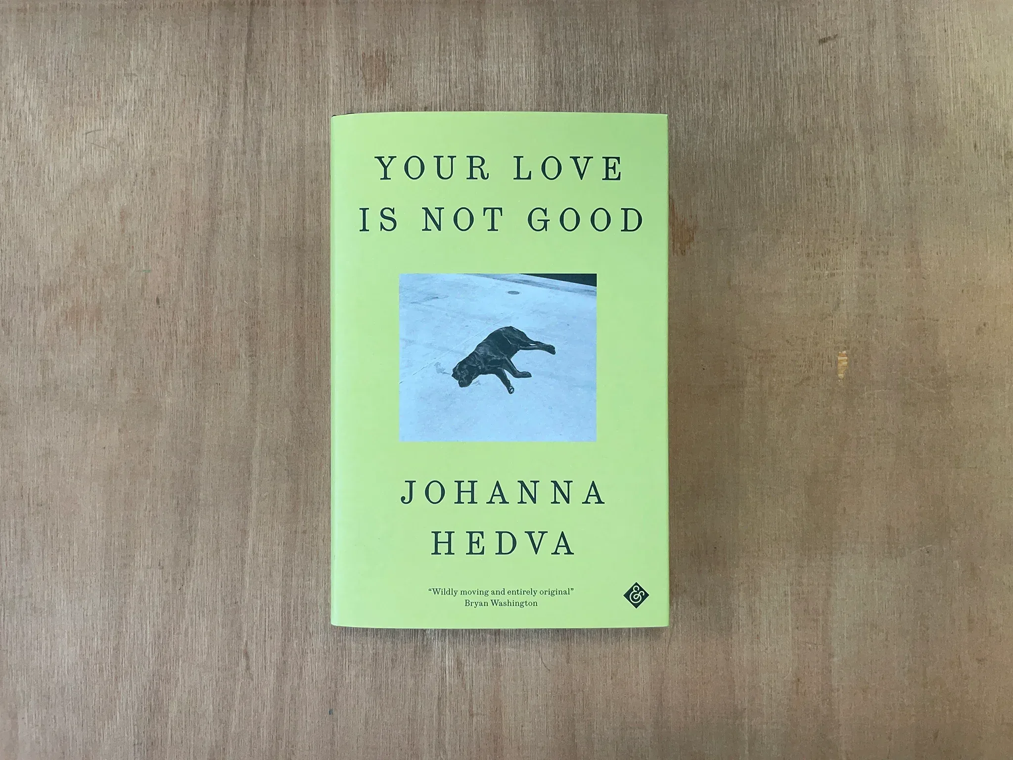 Johanna Hedva Your Love Is Not Good