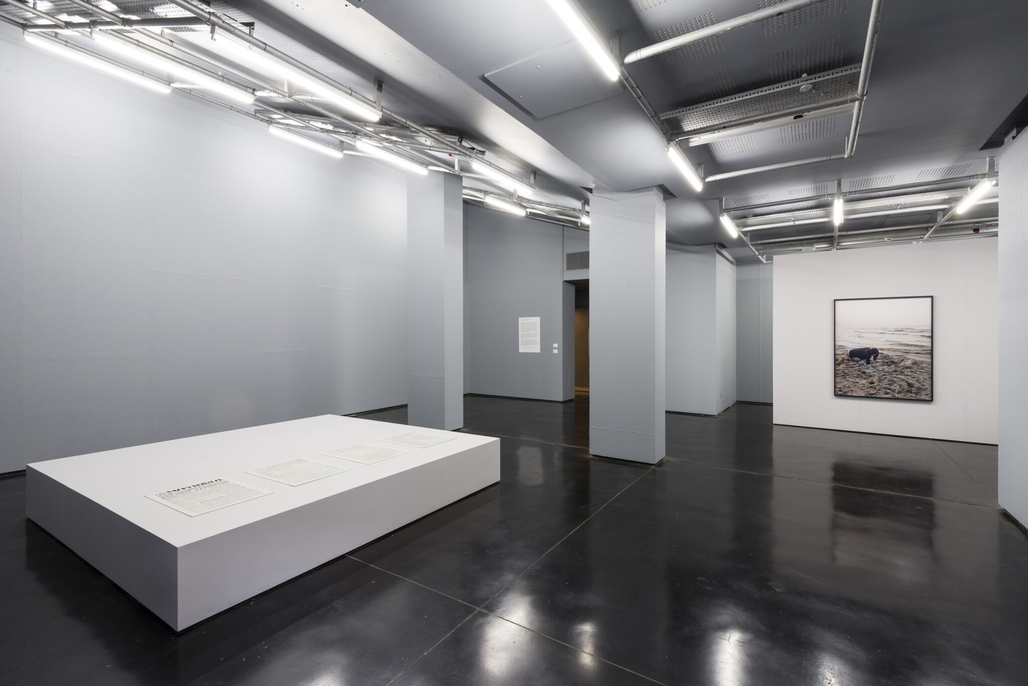Sharon Lockhart Untitled 2014 And Milena De¸bki 2014 2014  Roger Sinek  50Cm