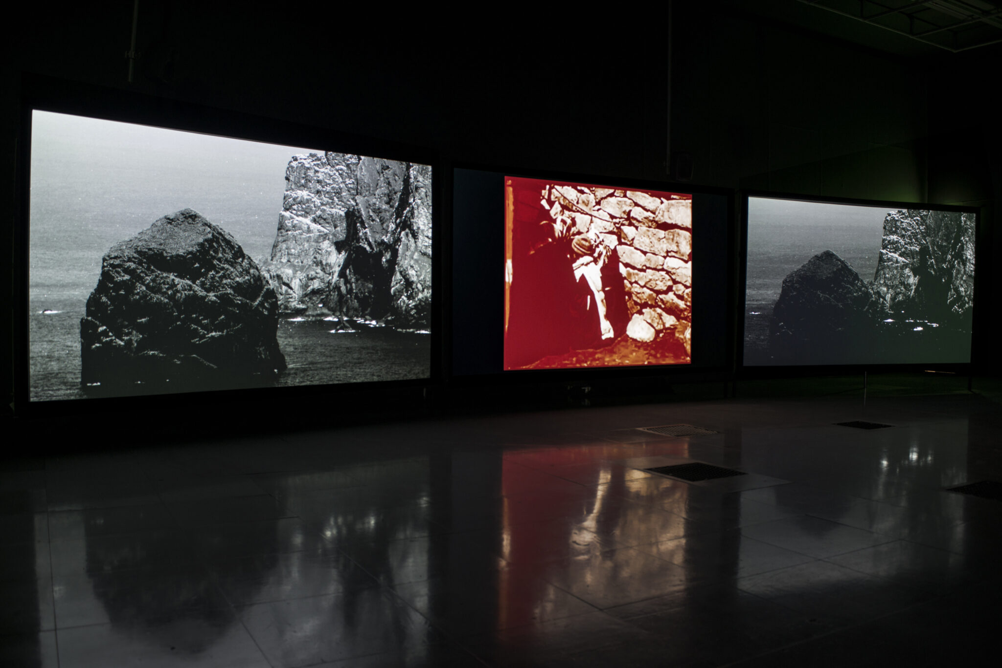 Shona Illingworth: Lesions in the Landscape, FACT, 2015. Photo by Jon Barraclough