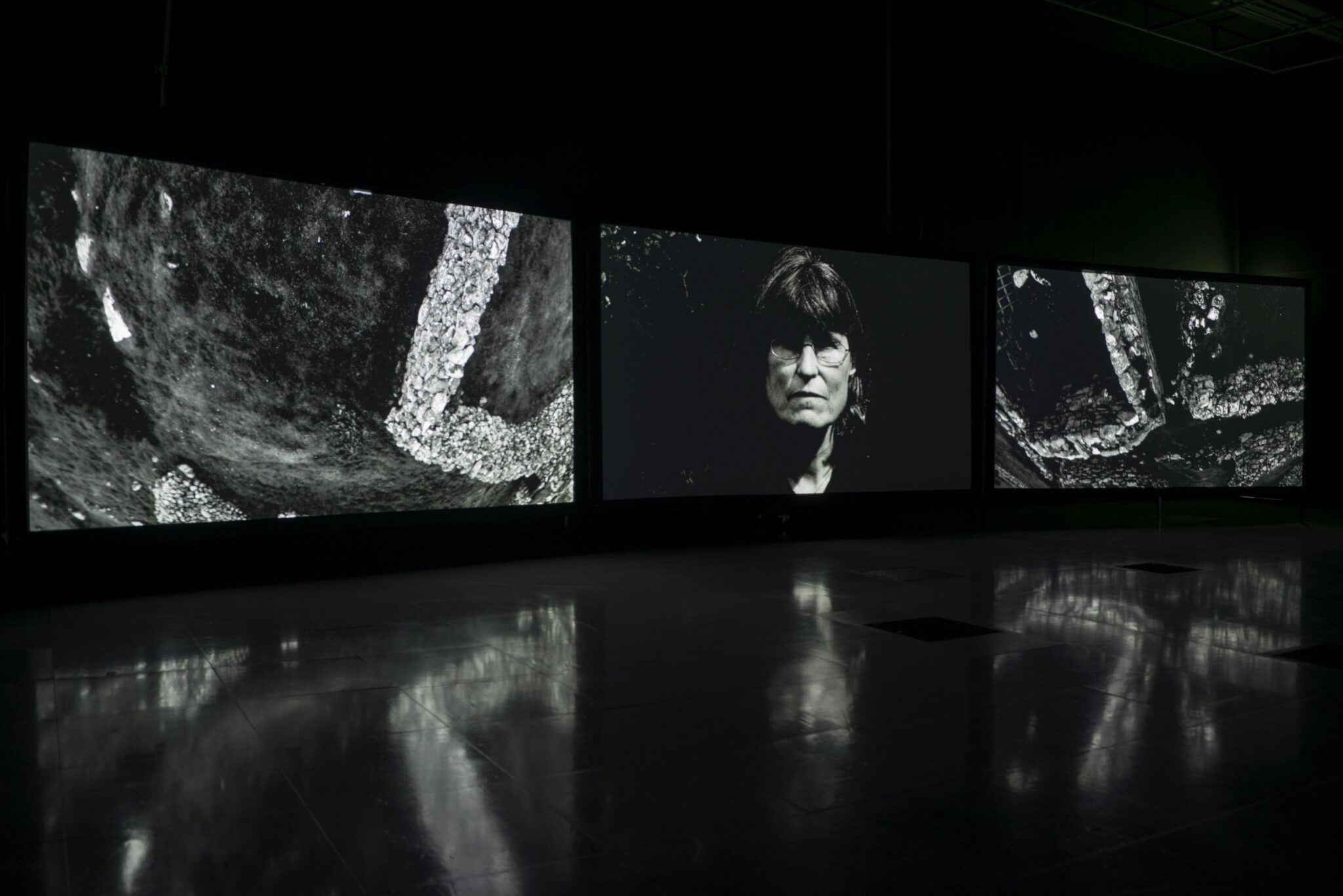 Shona Illingworth: Lesions in the Landscape, FACT, 2015. Photo by Jon Barraclough