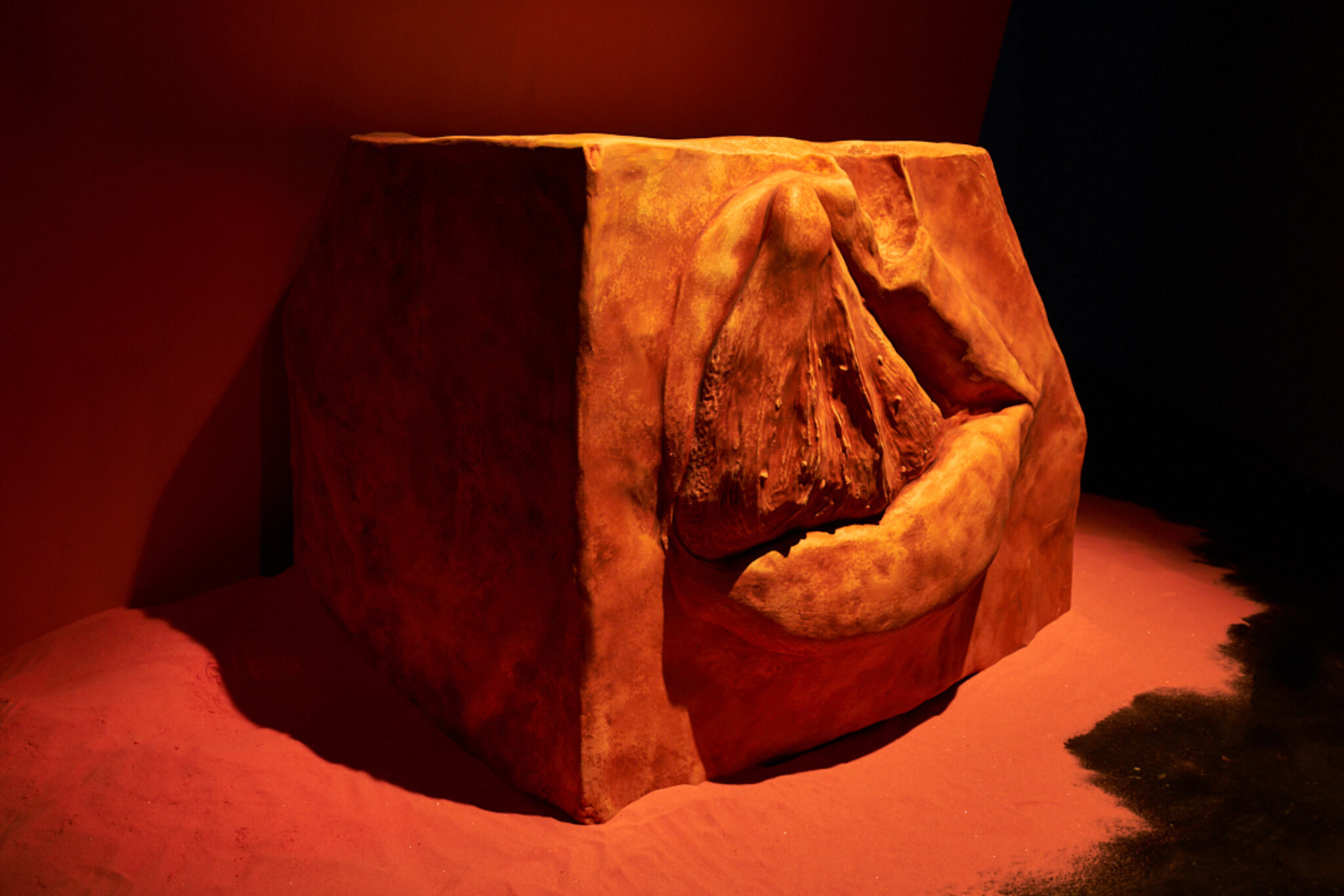 WEB 1080px 72dpi FACT You Feel Me October 2019 Credit Rob Battersby 9