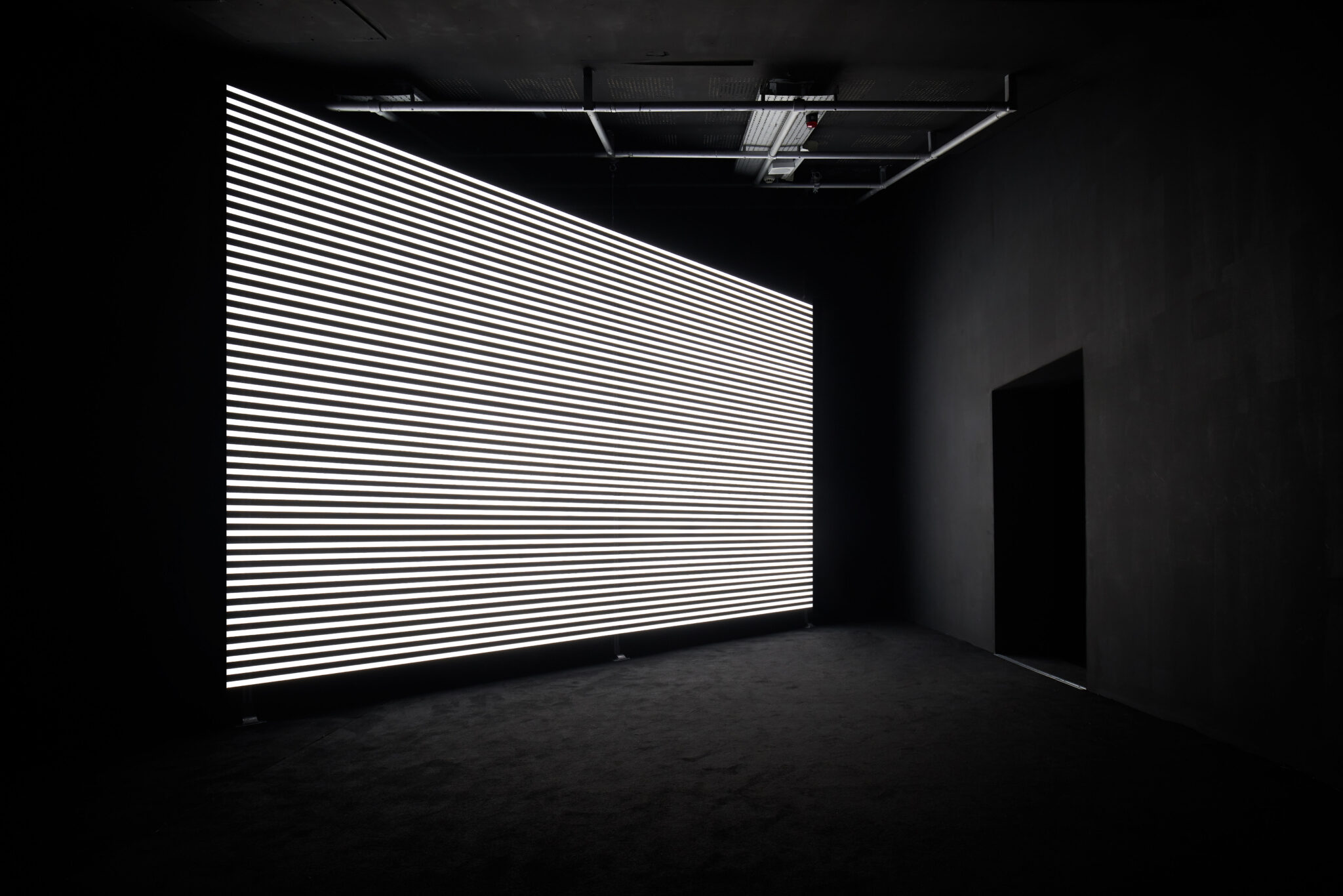 Marianna Simnett, Faint with Light, 2016. Installation view at FACT 2019. Photo: Rob Battersby.