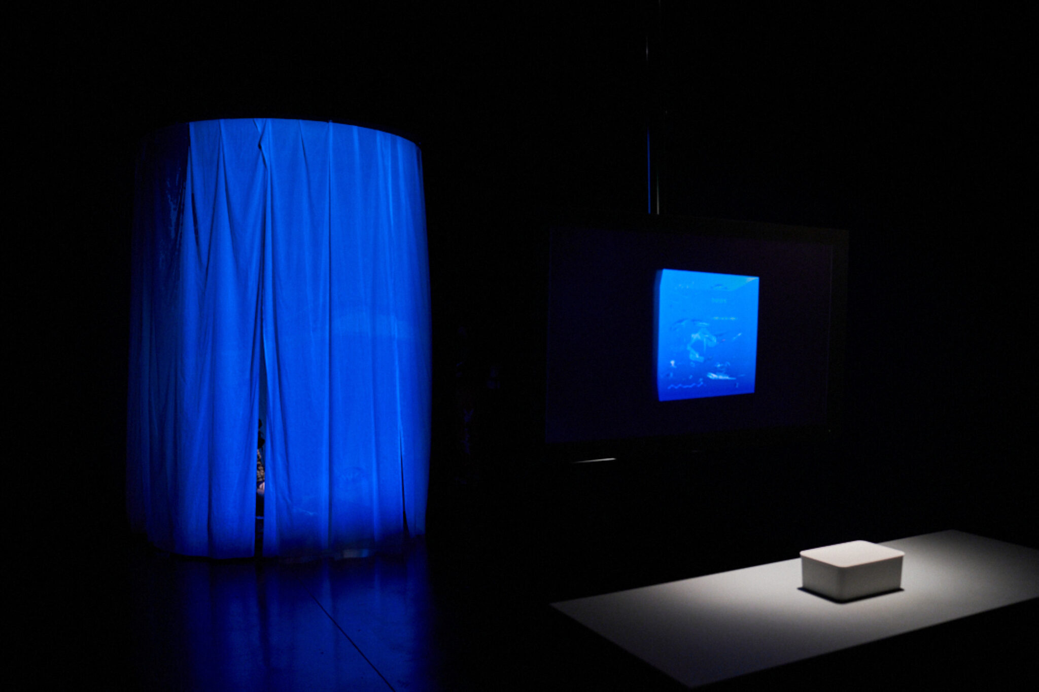 Yambe Tam Deep Dive 2021 Installation view at FACT Courtesy of the artist Image by Rob Battersby 14