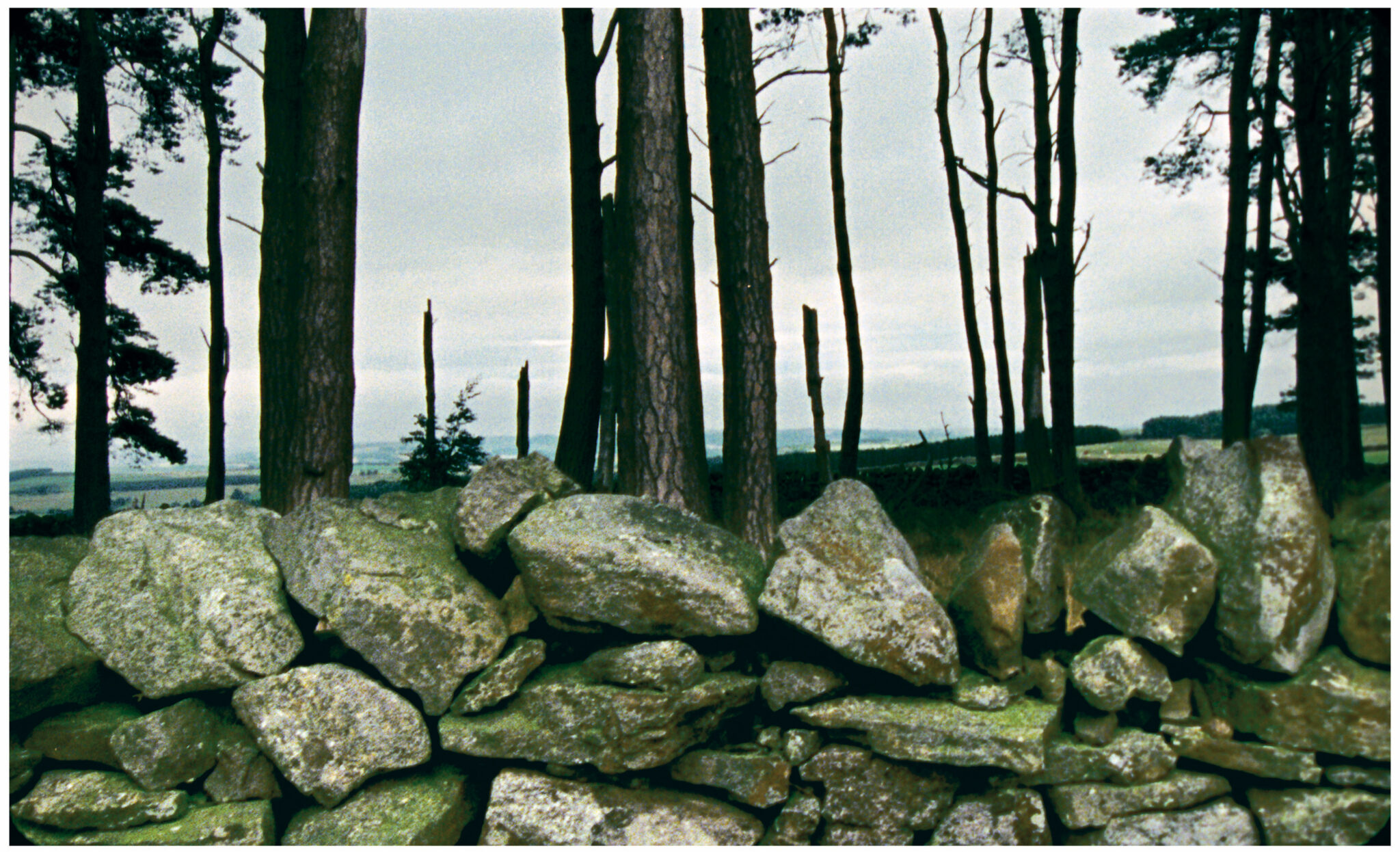 Mark Lewis, Northumberland, 2005. Film still courtesy of the artist.